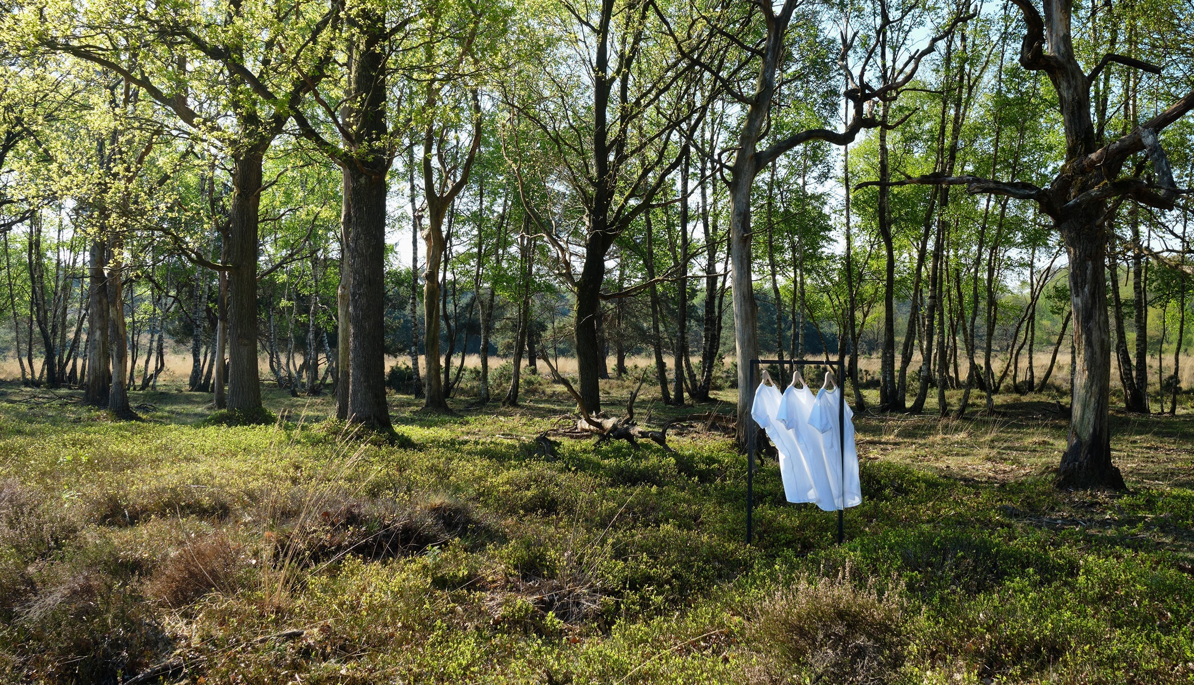 Black Friday? Noshirt gaat op groen