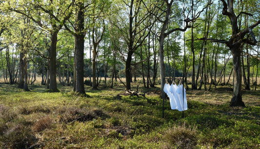 Black Friday? Noshirt gaat op groen